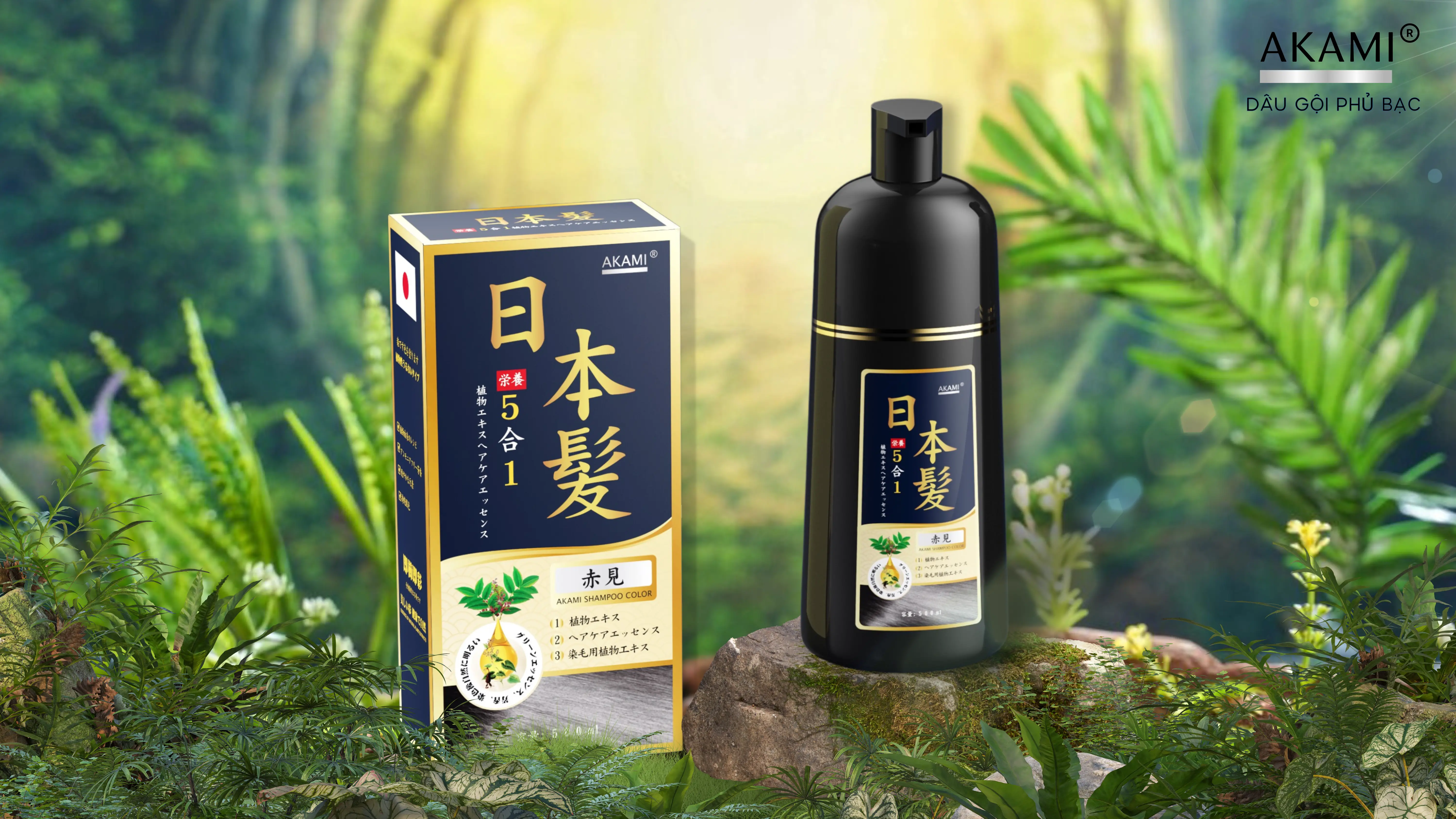Giới thiệu về akami nhật bản