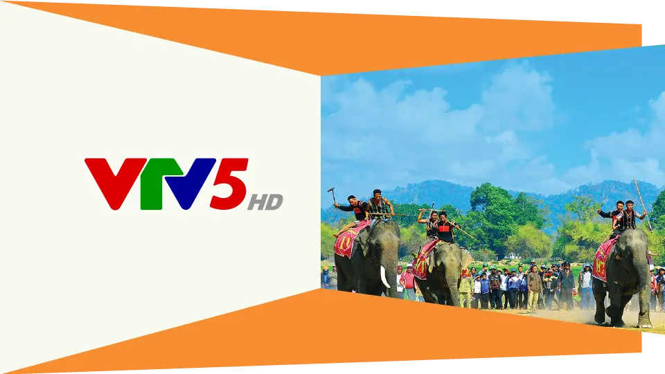 Giới thiệu kênh VTV5 Điểm đến hoàn hảo cho những người yêu thích văn hóa và giáo dục